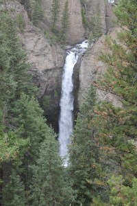 Yellowstone 2014 035