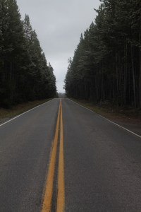 Yellowstone 2014 072