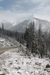 Yellowstone 2014 087