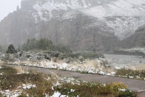 Yellowstone 2014 114