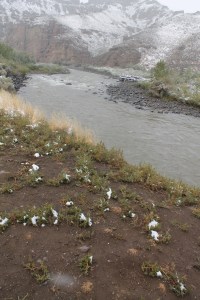 Yellowstone 2014 118